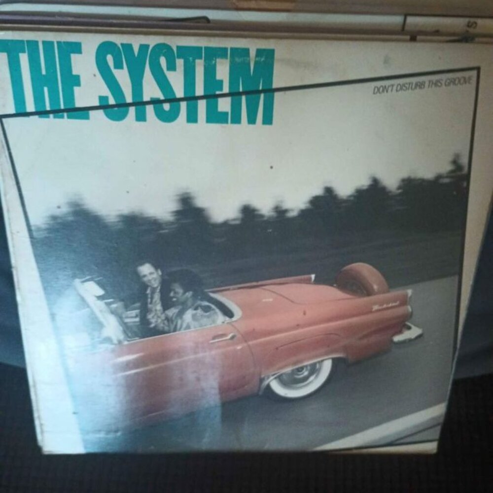 Albums - Picture 5 of 16